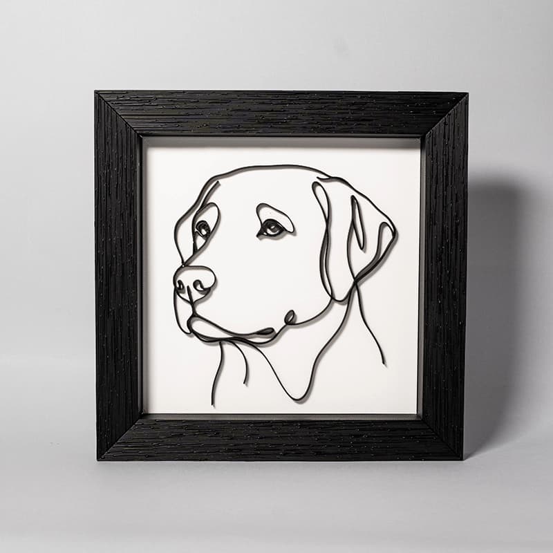 Cara perro Labrador