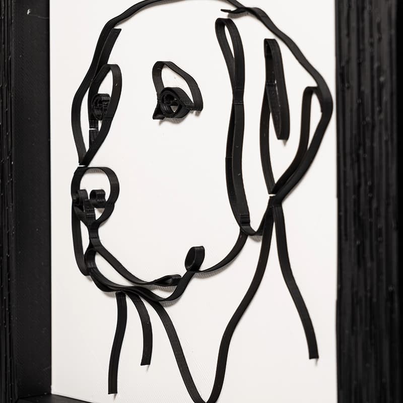 Cara perro Labrador